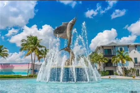 Manatee Pocket! Whole House & Backyard to Yourself