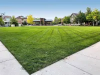 Near Denver+Boulder | Tranquil Home | Walk-to-Mall