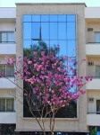 Vip Hotel Hotels in Jaú