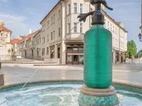 Hotel Domus Collis Hotels in Gyor