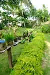 White Beach Front and Cottages Hotels in Buruanga