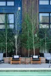 The Cloudveil, Autograph Collection - piscina