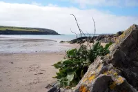 The Globe Angle Hotels in Angle