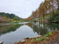 Moonshine Inn Hotels in Taoyuan