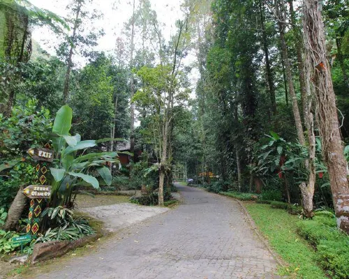 Safari Resort بالقرب من الفندق Photos