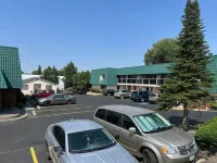 Apple Tree Inn - Motels