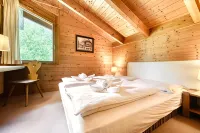 Retrowohnung Mit Bergpanorama by A-Appartments