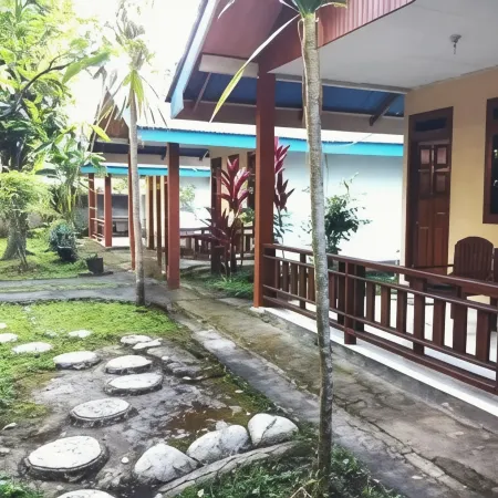 Tangkoko Macaca