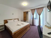 Casa Basarab Hotels in Calimanesti