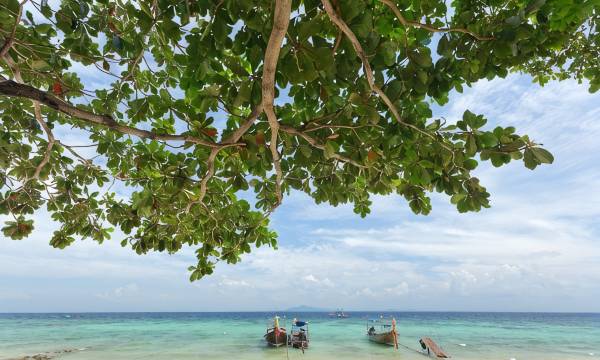 Paradise Resort Phi Phi
