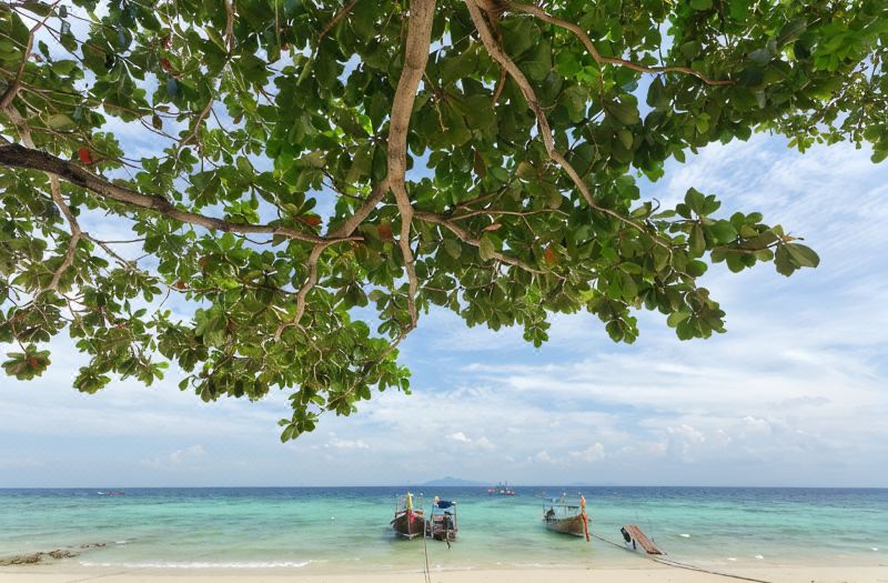 Paradise Resort Phi Phi