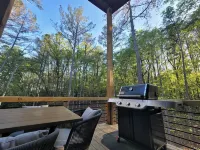 Lux Blue Ridge Cabin, Hot tub, Swing, & PingPong!
