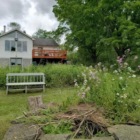 "Pleasant Brook Cottage" near Roxbury Village - Woods, Streams, Wi-fi, sleeps 6 Hotels in Roxbury