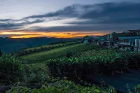 O Zé já dormiu Aqui - Zé has already slept here