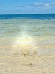 Upscale 2 bedroom beach front Villa