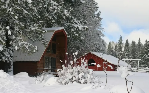 Amazing property & Shasta views, private lake, dark skies, close to everything - Homestays