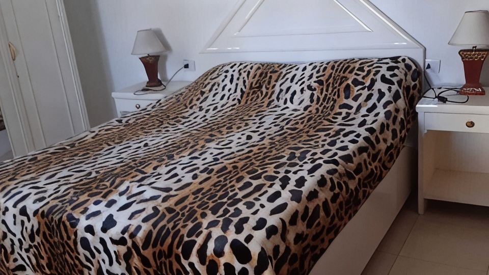 Private 4 bed villa with pool, overlooks Nile , 10mins from Kings Valley