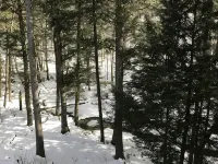 Enjoy a magical winter holiday at Sugarbush Resort/ Mad River Valley Hotels in Fayston