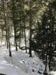 Enjoy a magical winter holiday at Sugarbush Resort/ Mad River Valley