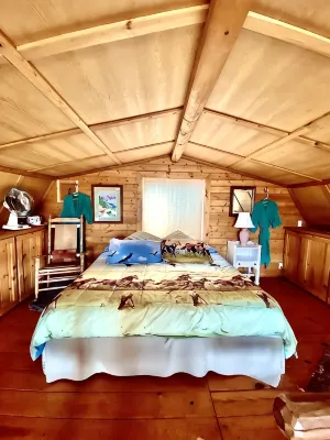 Wilderness Spirit Cabins, LLC-'Eagle Nest'- Heavenly Mountain Views