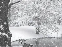 Pond View Cottage Hotels in Buckingham Township