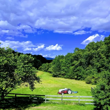 Farmhouse On 14 Acres.  Close to Monticello & Ash Lawn Highland