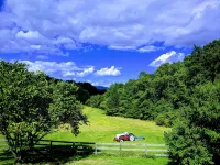 Farmhouse On 14 Acres.  Close to Monticello & Ash Lawn Highland - 3-Star