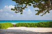 Beachfront Villa Turquesa Playacar in Playa del Carmen - Bungalows