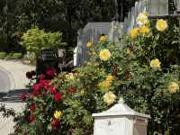 Bright Garden Guest Suite in Los Gatos, Heart of Silicon Valley Hotels in Los Gatos