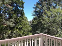 "A RETREAT CABIN PERFECT TO RELAX" - Hytter