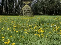 Traditional Breton farmhouse with garden, wood-burning stove and sauna Hotels in Trégunc