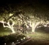 The Limestone Lodge<br>A peaceful, rustic destination you won’t want to leave! - Wifi