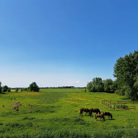 FeWo Vißer's Landblick <br>For those seeking peace and quiet, couples, families with babies