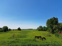 FeWo Vißer's Landblick <br>For those seeking peace and quiet, couples, families with babies - Wi-Fi