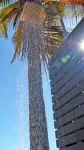 RAC Monkey Mia Dolphin Resort - Ocean View