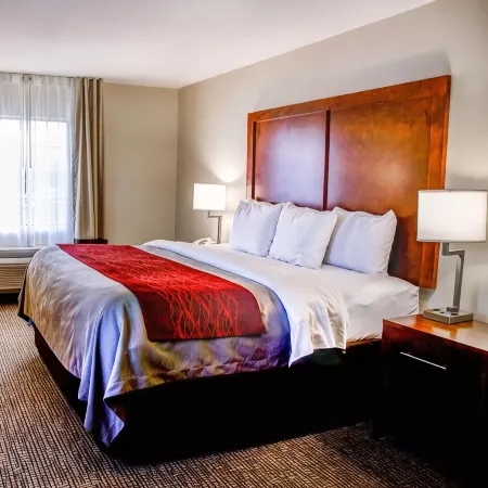 Comfort Inn Bessemer Birmingham South