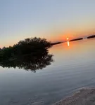 Short Walk to Quaint Small Town Palm Harbor, Restaurants, Brewery, Trolley Stop