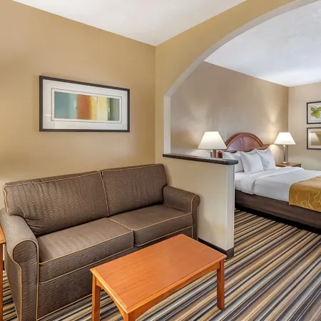 Comfort Suites Chesapeake - Norfolk