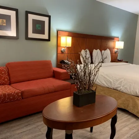 The Hotel Orange