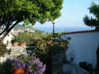 Azienda Agrituristica Villa Arianna - Farmhouses