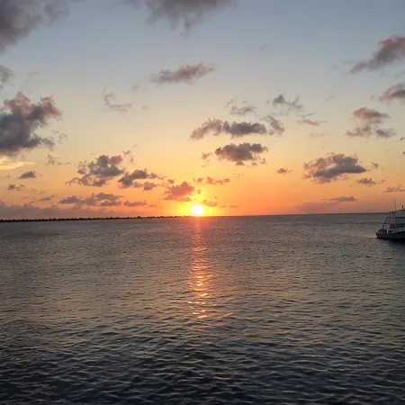 Well-Maintained Sand Dollar Oceanfront Condo F-9 with Updated Kitchen