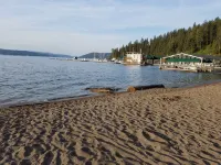Modern and unique cottage in perfect downtown CDA location for a great getaway! - 4-Star
