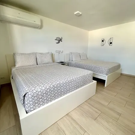 Beach Studio Isla Verde-Sea Dollar #3