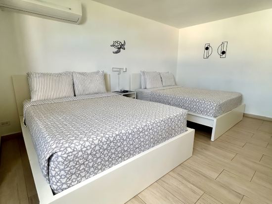 Beach Studio Isla Verde-Sea Dollar #3