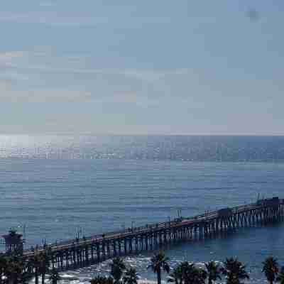 Surf Shack - Panoramic Ocean View! Others