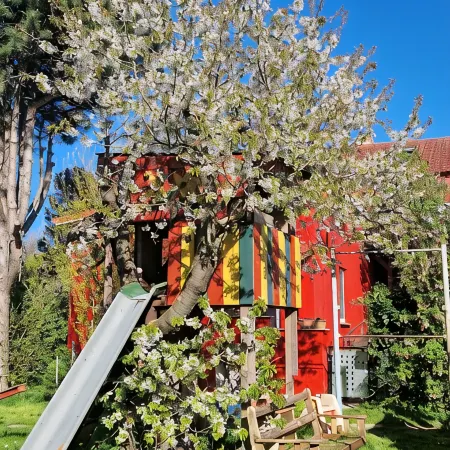 Sunny holiday home with a cozy sleeping loft, idyllically located in the garden.