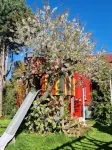 Sunny holiday home with a cozy sleeping loft, idyllically located in the garden. - 3 Sao
