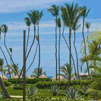 Playa Turquesa K-101- Premier Beachfront Ocean/Garden View 100mbps Wifi Others
