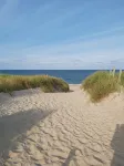 Wonderful Stay Near the Beach/Sea - Homestays