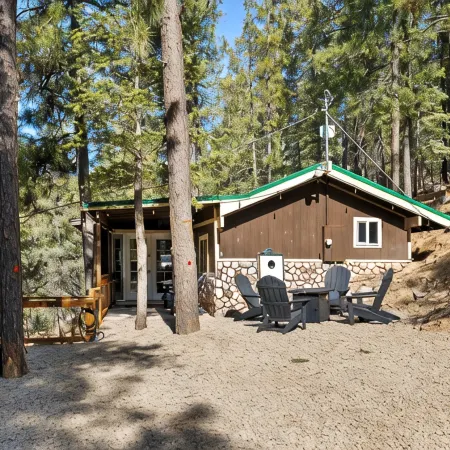 MTNSIDE Cabin with VIEWS by LYNX LAKE 20 min to TOWN